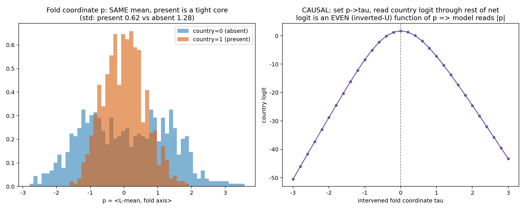 Left: histogram of the fold coordinate showing both classes with the same mean but present a tight core, standard deviation 0.62, versus absent 1.28. Right: the country logit read through the network as a function of the intervened coordinate tau, an even inverted-U peaking at tau equals zero.